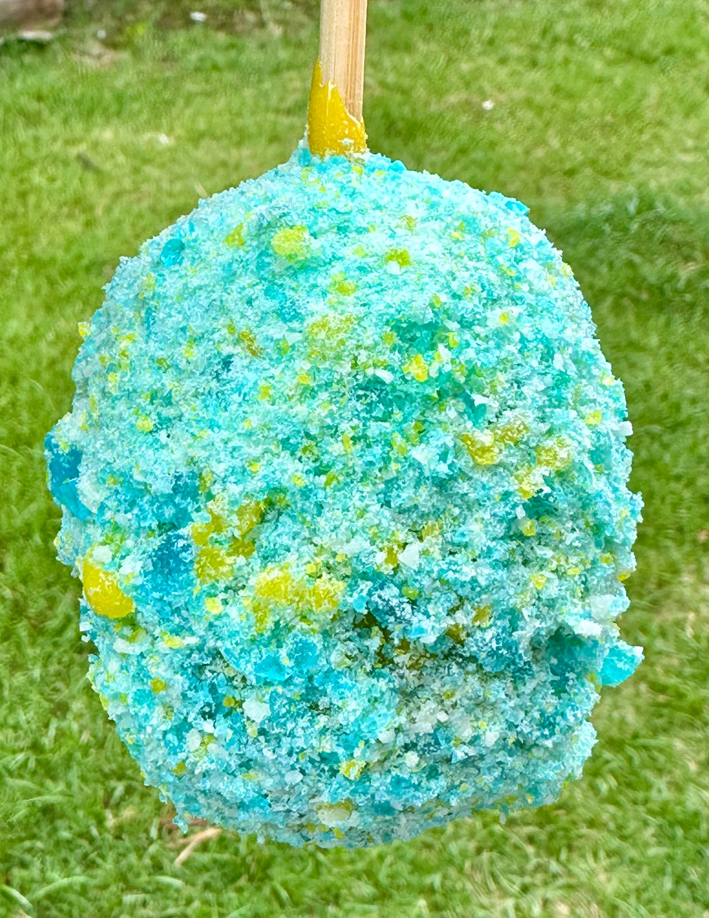 Candied Kiwi